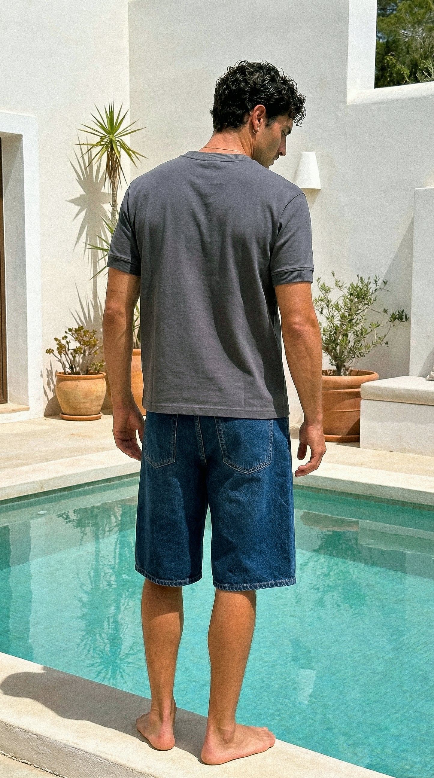 Remera Retrofish Core Gris